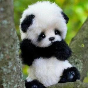 Meet your Posher, Eduardo